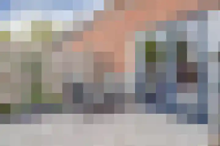 De Zijp 37 Vianen thumbnail 48
