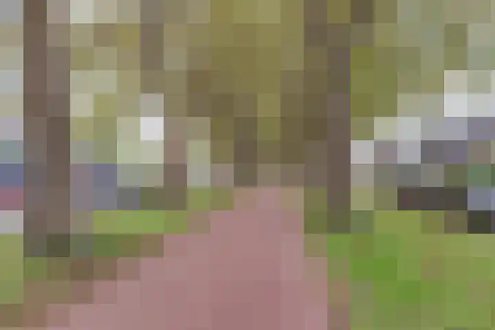 De Zijp 37 Vianen thumbnail 49
