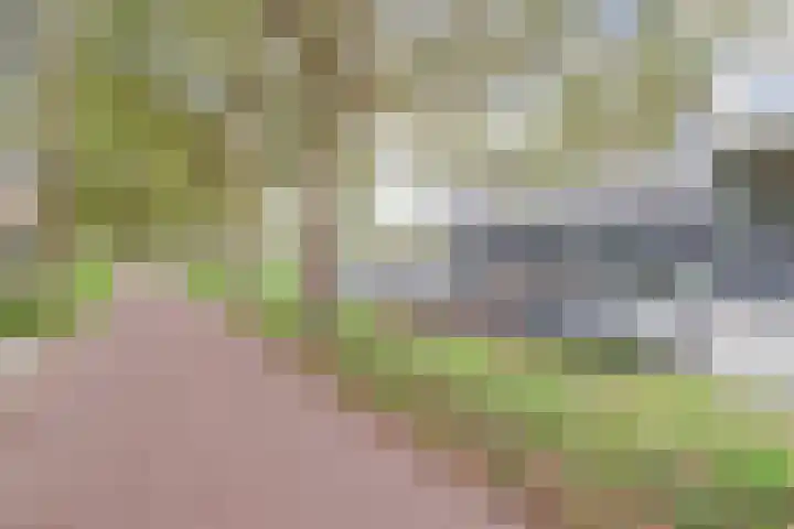 De Zijp 37 Vianen thumbnail 50