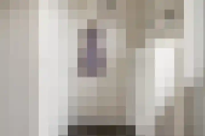 De Zijp 37 Vianen thumbnail 8