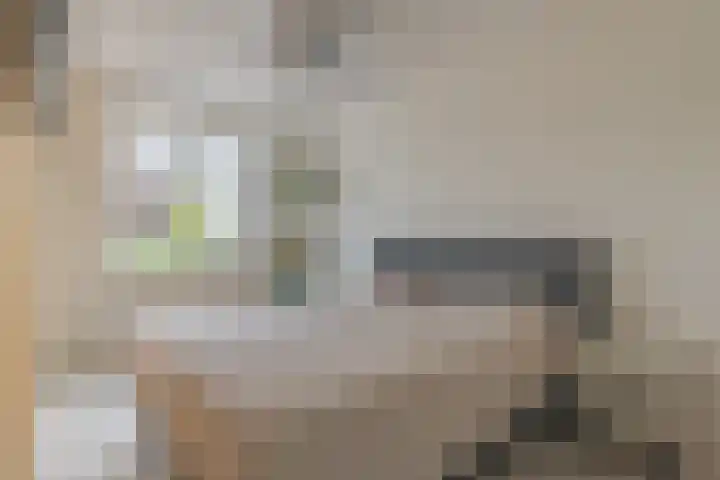 De Zijp 39 Vianen thumbnail 11