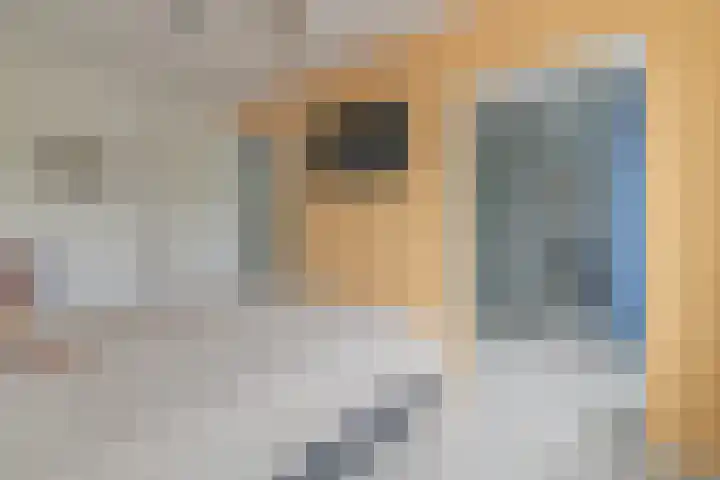 De Zijp 39 Vianen thumbnail 12