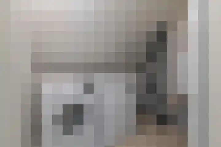 De Zijp 39 Vianen thumbnail 21