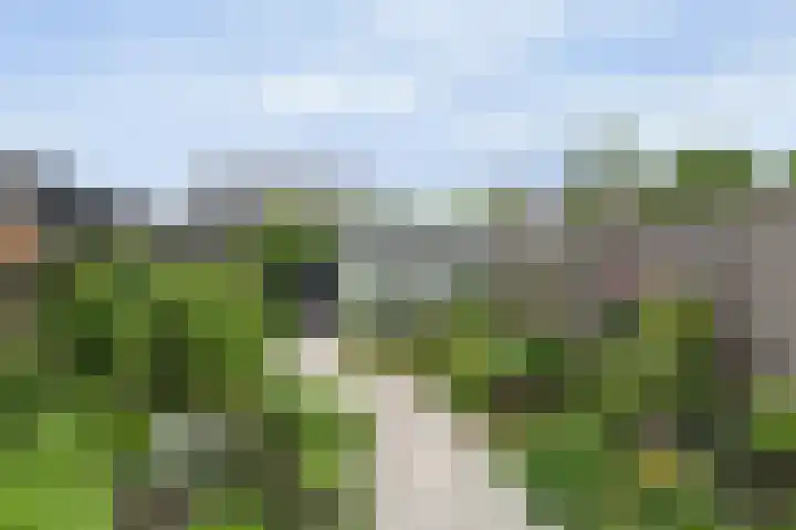 De Zijp 39 Vianen thumbnail 23
