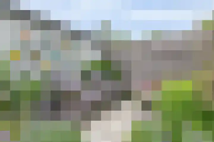 De Zijp 39 Vianen thumbnail 24
