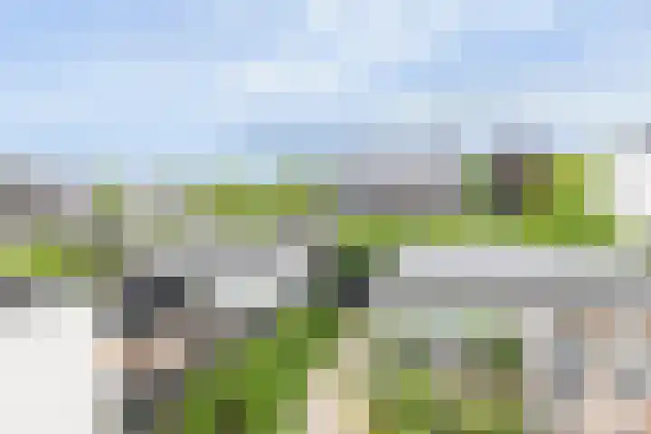 De Zijp 39 Vianen thumbnail 25
