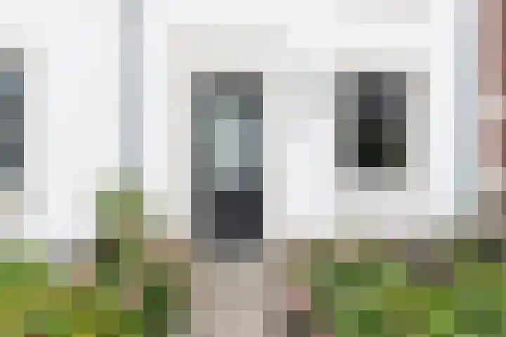 De Zijp 39 Vianen thumbnail 26