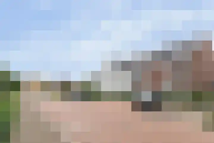 De Zijp 39 Vianen thumbnail 27
