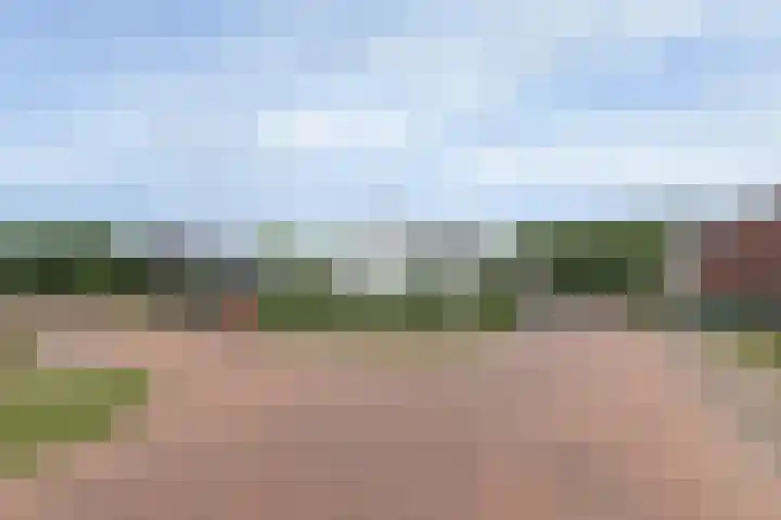 De Zijp 39 Vianen thumbnail 28
