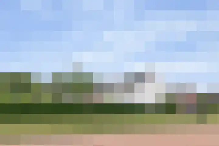 De Zijp 39 Vianen thumbnail 29