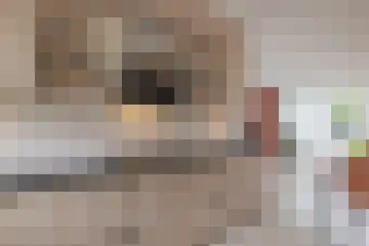 De Zijp 39 Vianen thumbnail 9