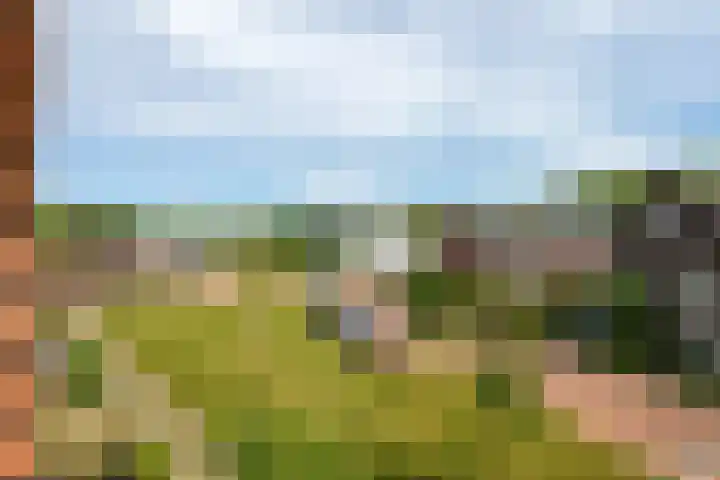De Zijp 67 Vianen thumbnail 13