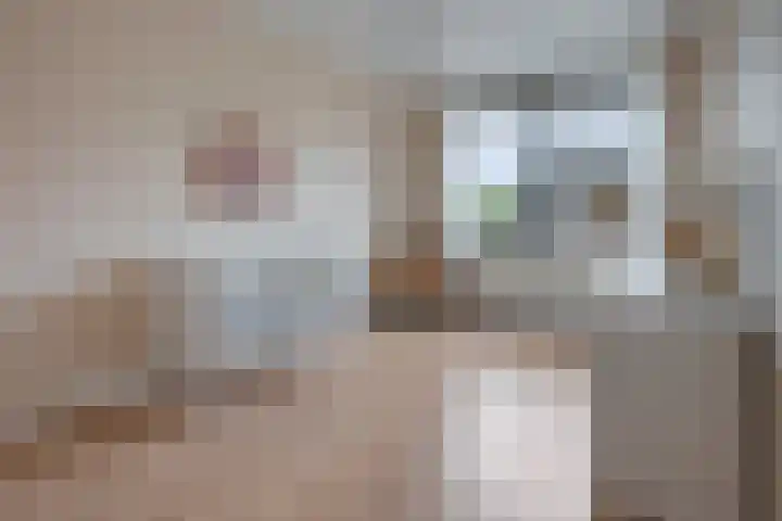 De Zijp 67 Vianen thumbnail 15