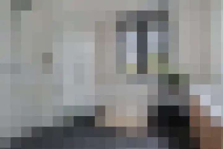 De Zijp 67 Vianen thumbnail 20