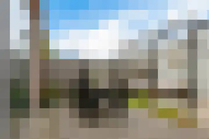De Zijp 67 Vianen thumbnail 29