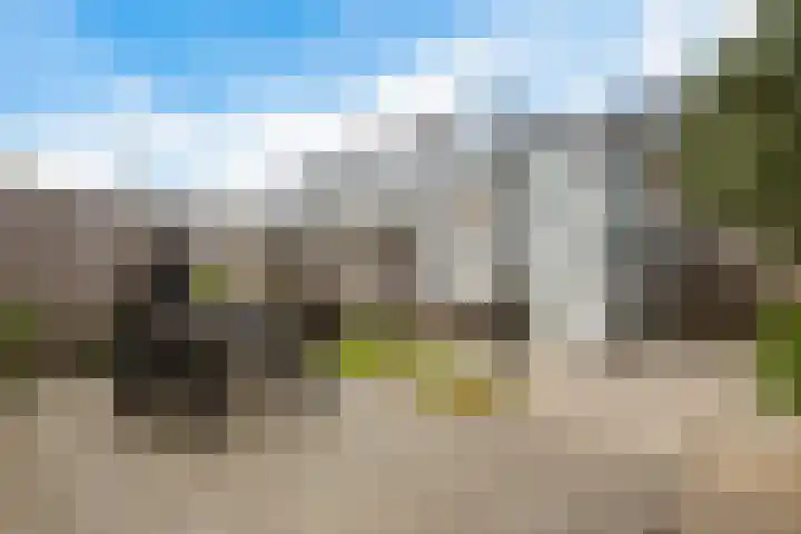 De Zijp 67 Vianen thumbnail 30
