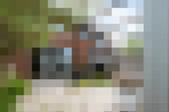 De Zijp 67 Vianen thumbnail 31