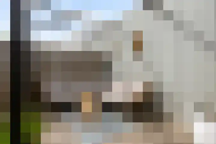 De Zijp 67 Vianen thumbnail 33