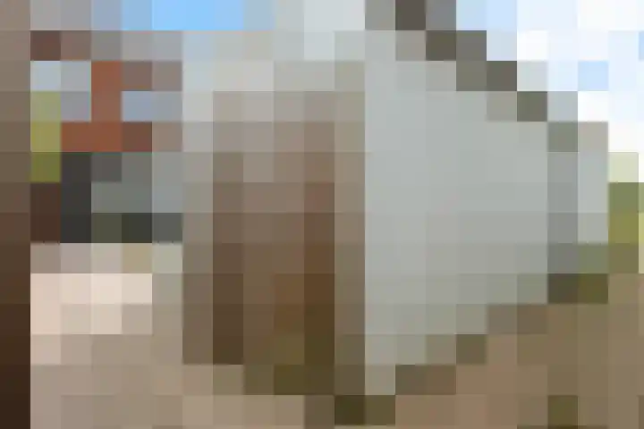 De Zijp 67 Vianen thumbnail 34