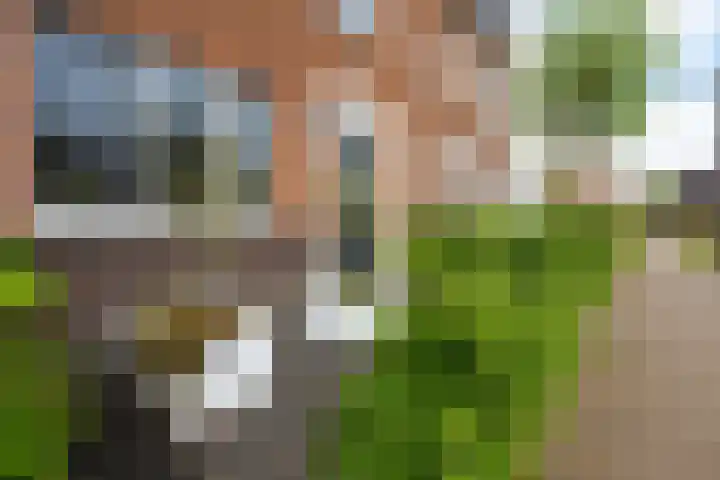 De Zijp 67 Vianen thumbnail 36