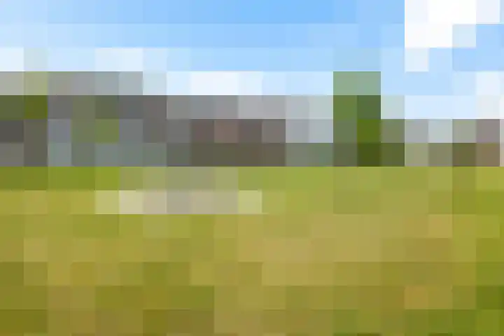 De Zijp 67 Vianen thumbnail 37