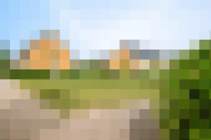 De Zijp 67 Vianen thumbnail 38
