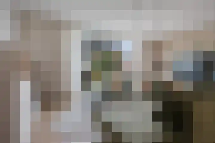 De Zijp 67 Vianen thumbnail 6