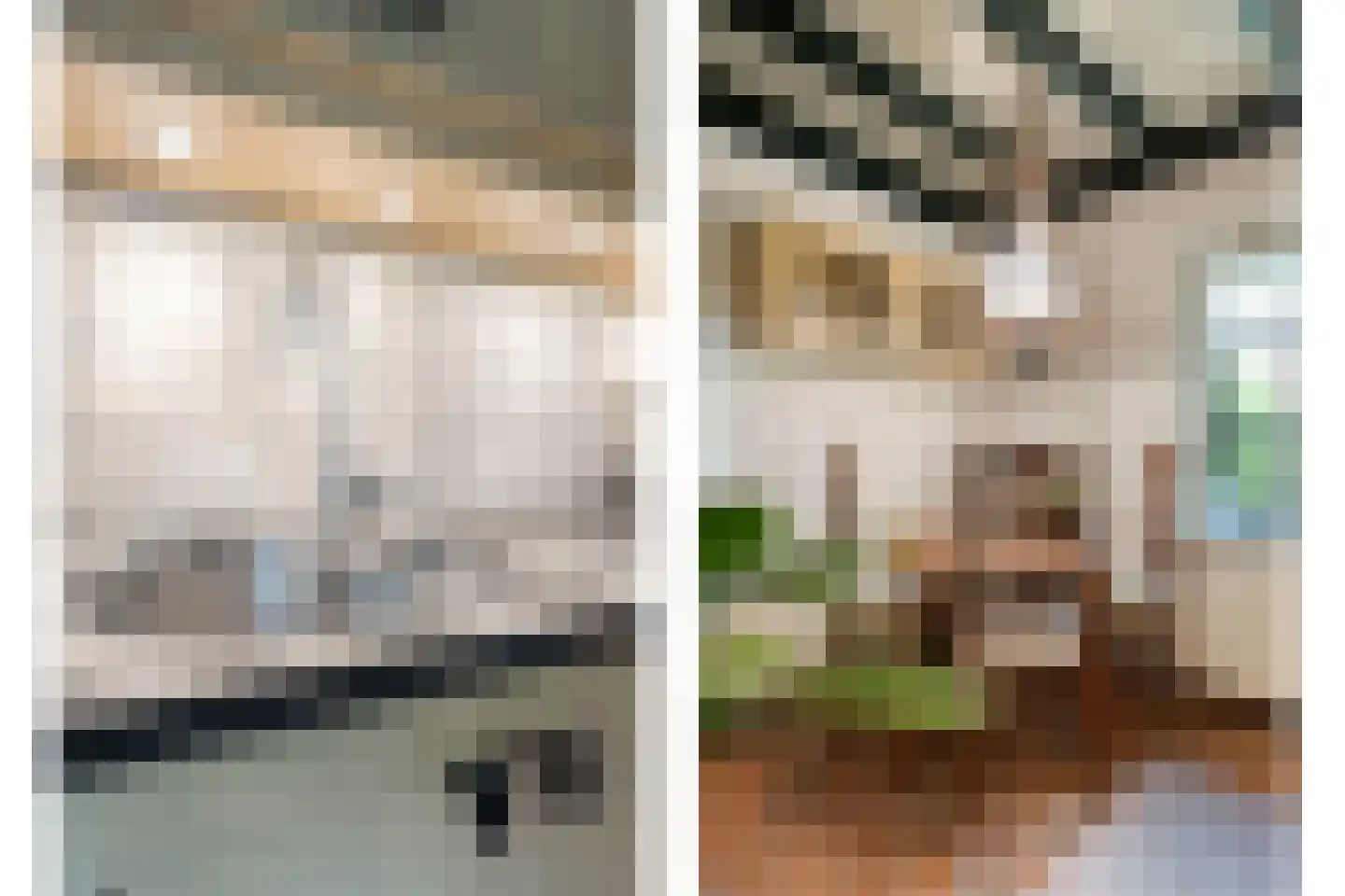De Zoeke Brink 5 Vasse thumbnail 15