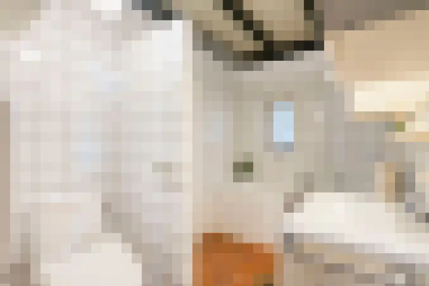 De Zoeke Brink 5 Vasse thumbnail 18