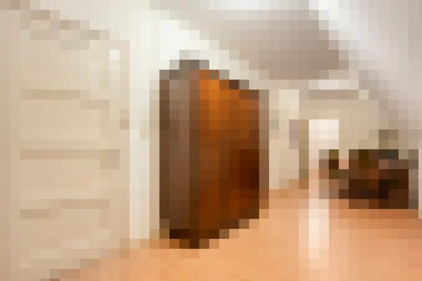De Zoeke Brink 5 Vasse thumbnail 21