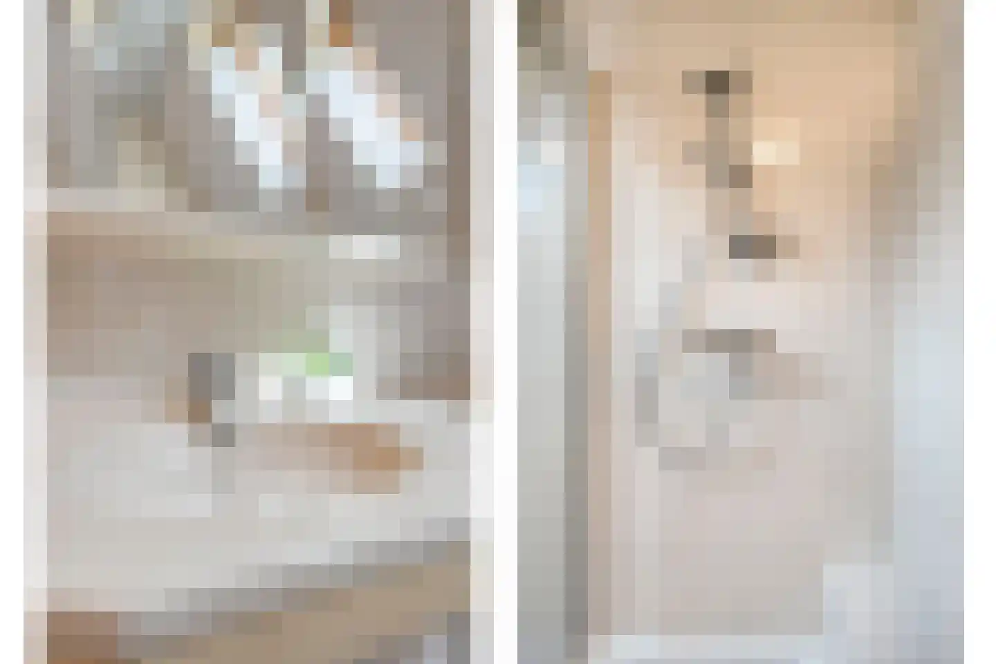 De Zoeke Brink 5 Vasse thumbnail 24