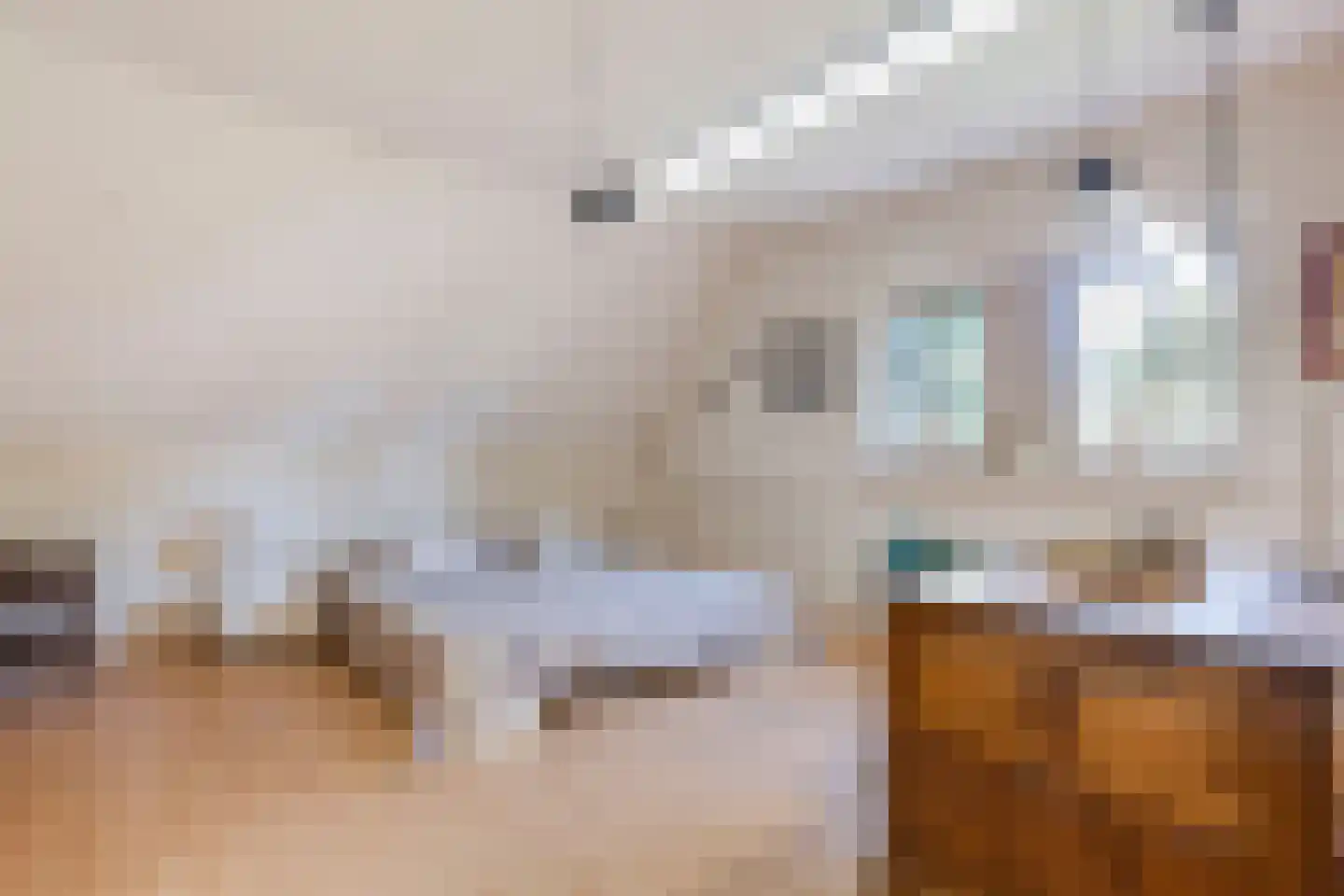 De Zoeke Brink 5 Vasse thumbnail 25