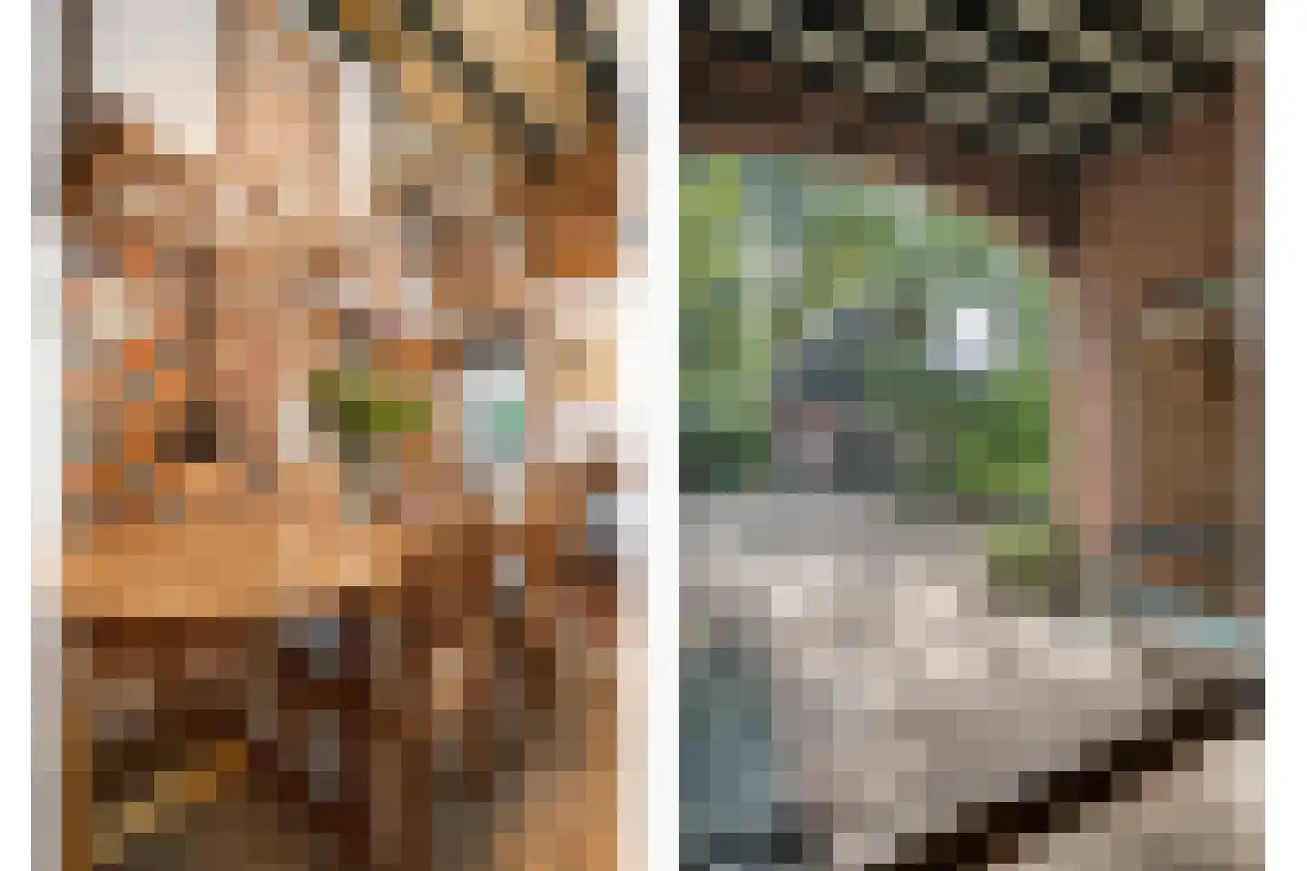 De Zoeke Brink 5 Vasse thumbnail 26