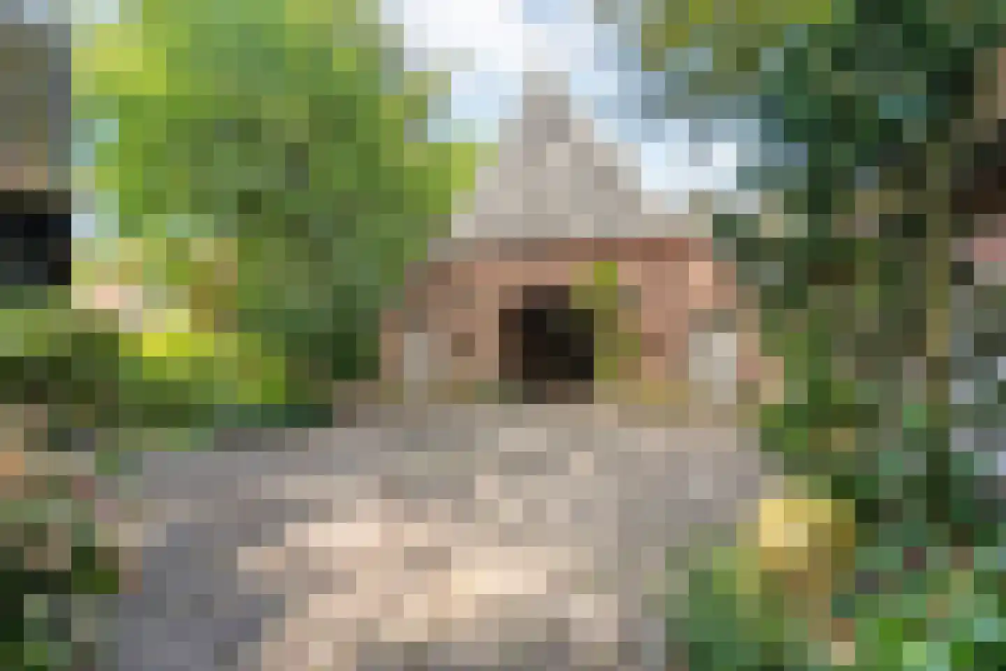 De Zoeke Brink 5 Vasse thumbnail 27