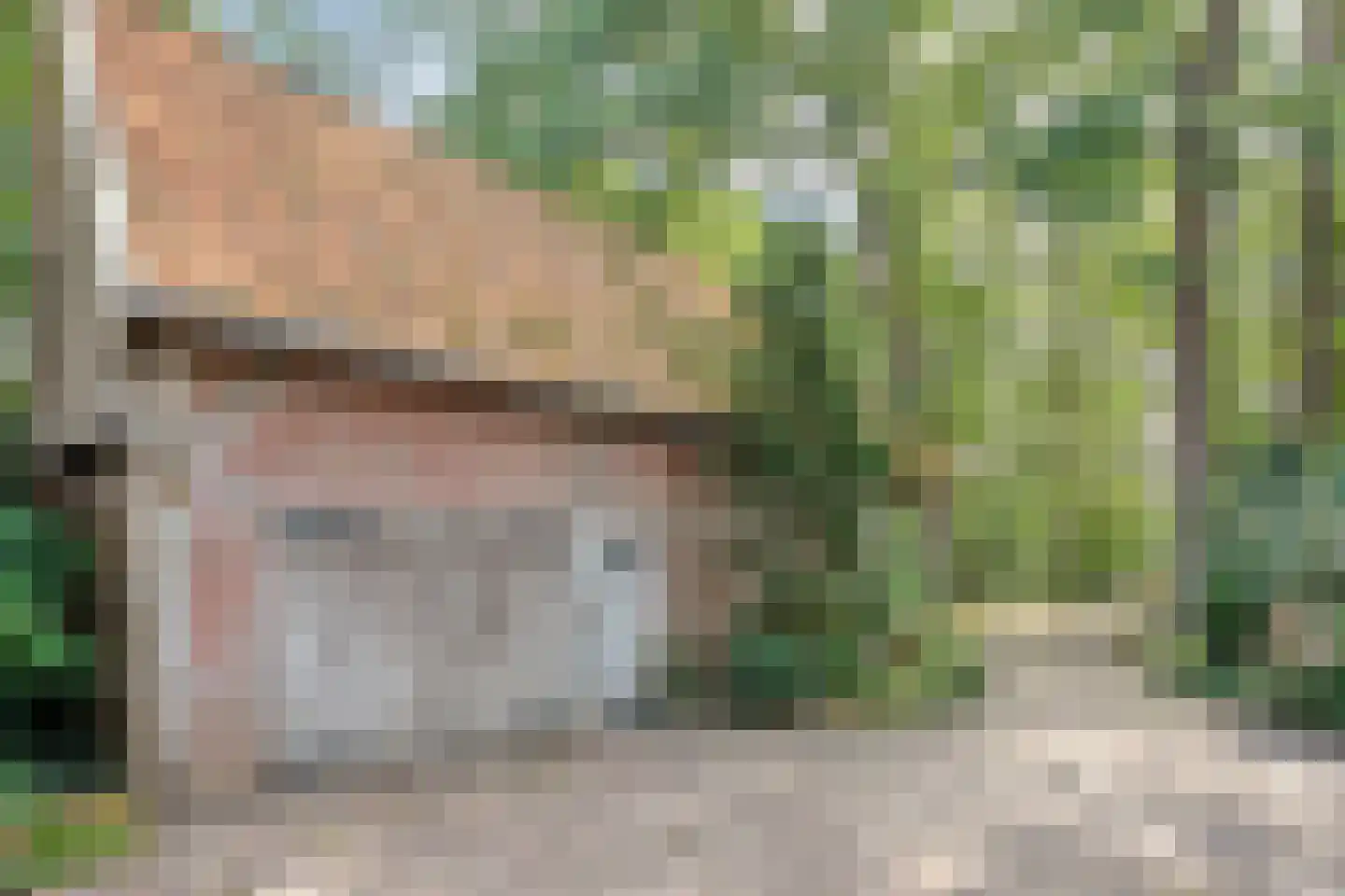 De Zoeke Brink 5 Vasse thumbnail 28