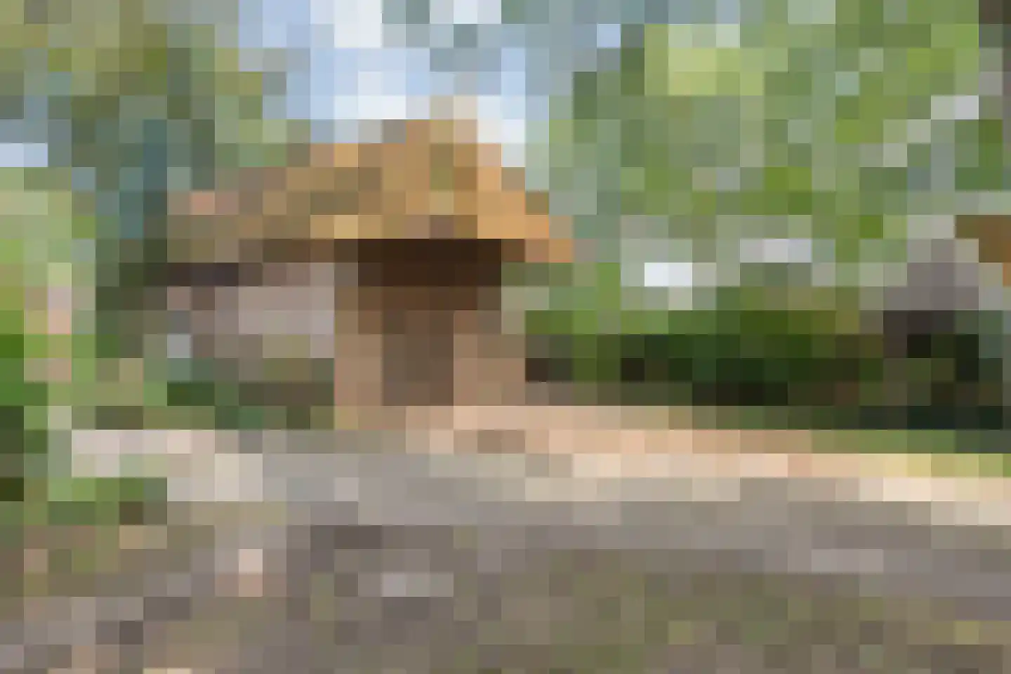De Zoeke Brink 5 Vasse thumbnail 29