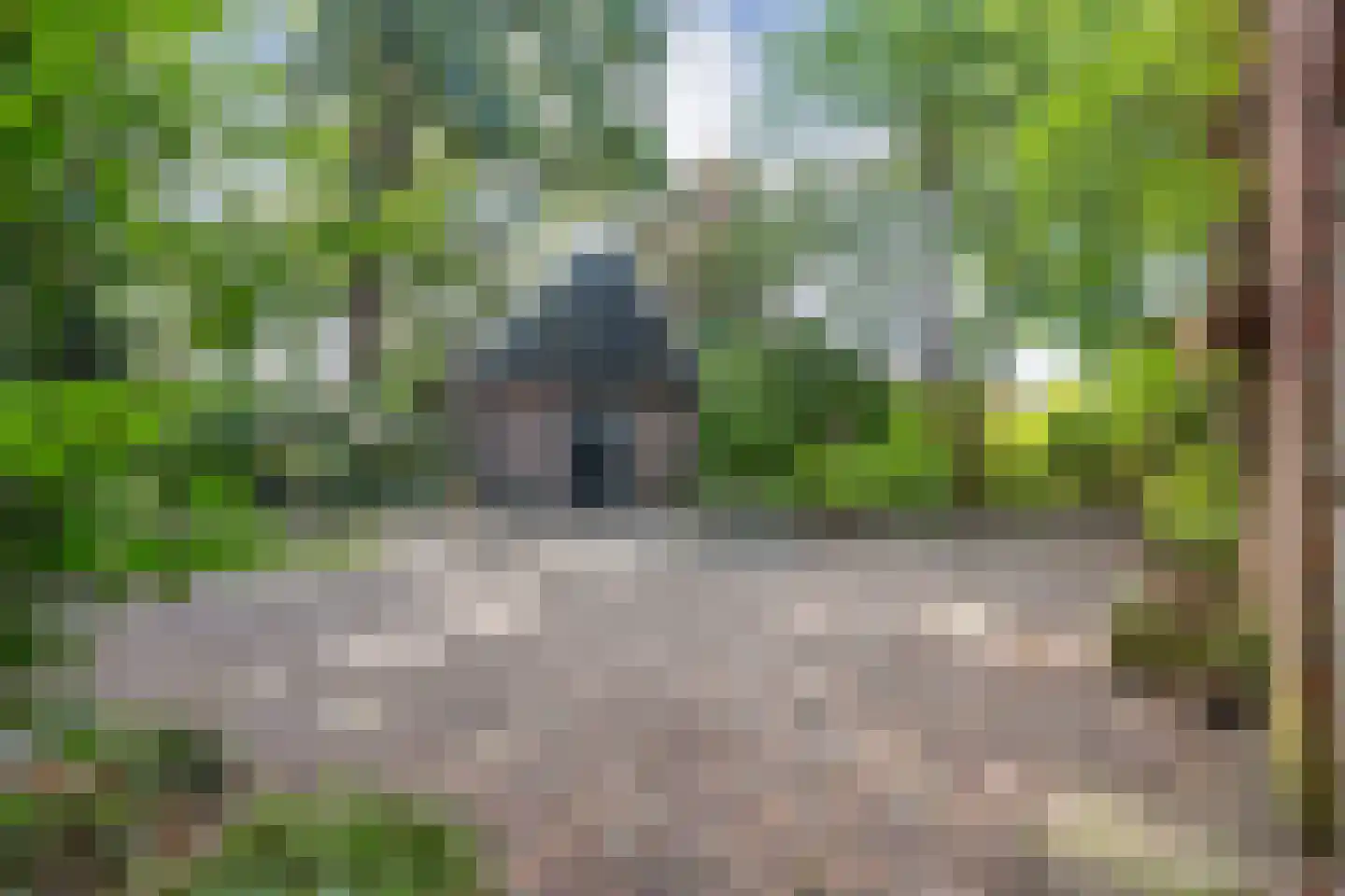 De Zoeke Brink 5 Vasse thumbnail 30