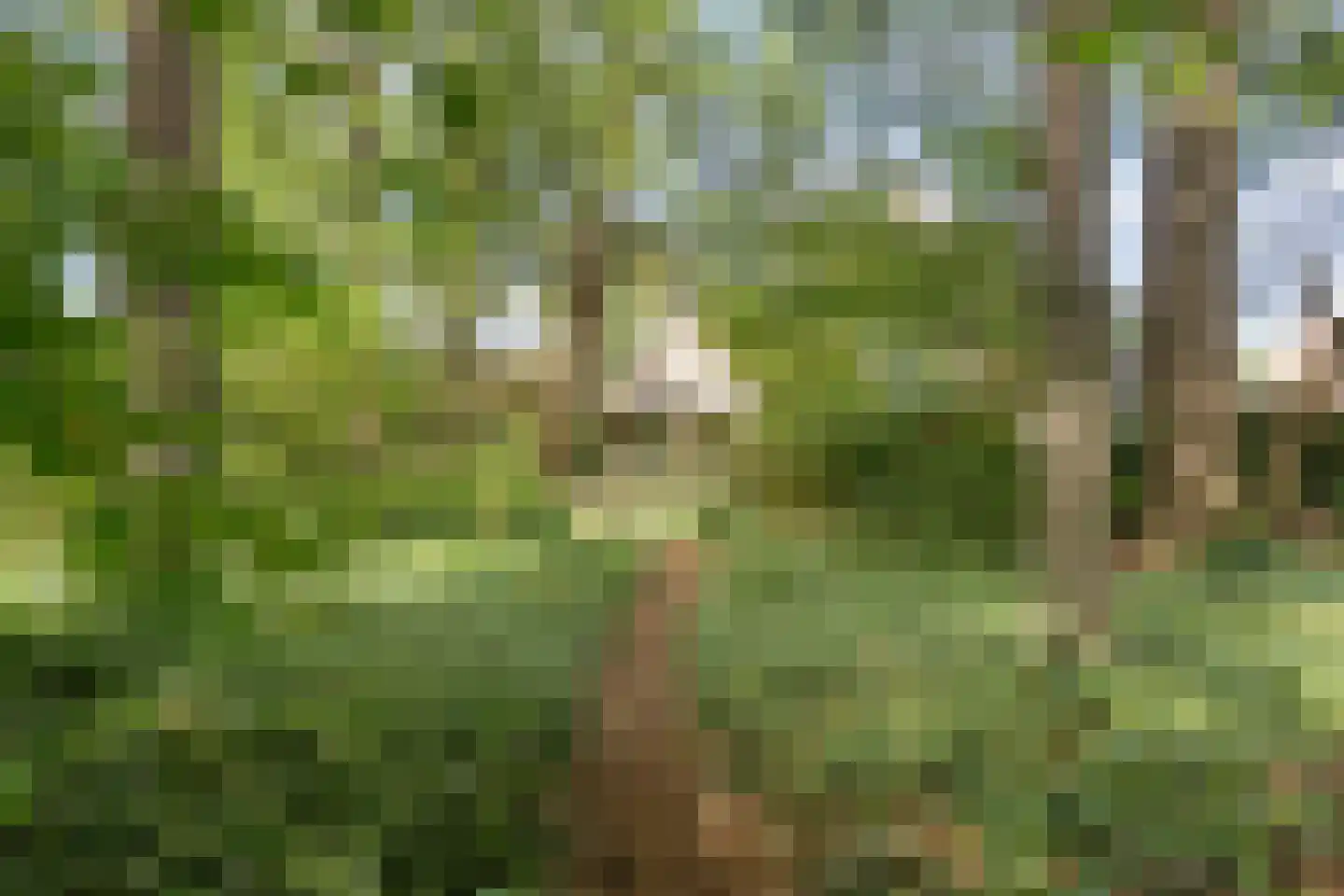 De Zoeke Brink 5 Vasse thumbnail 31