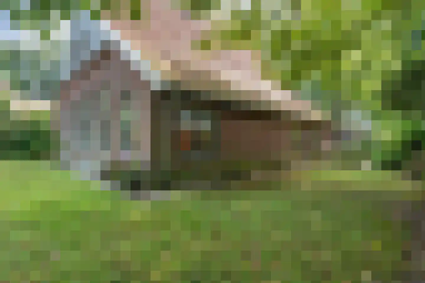De Zoeke Brink 5 Vasse thumbnail 32