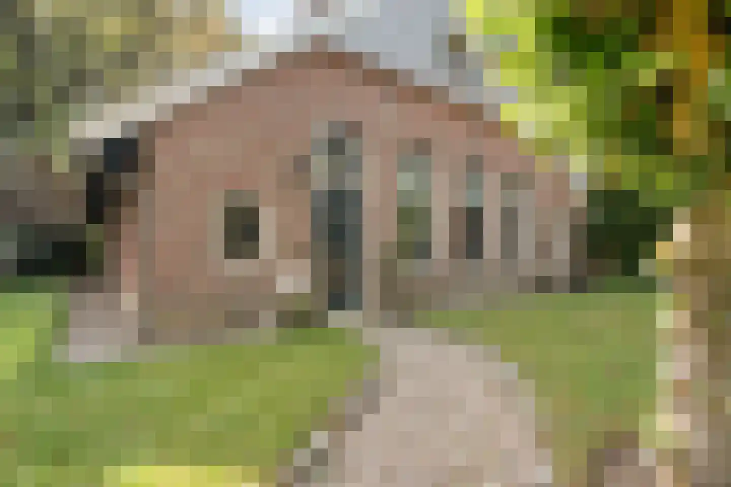 De Zoeke Brink 5 Vasse thumbnail 33
