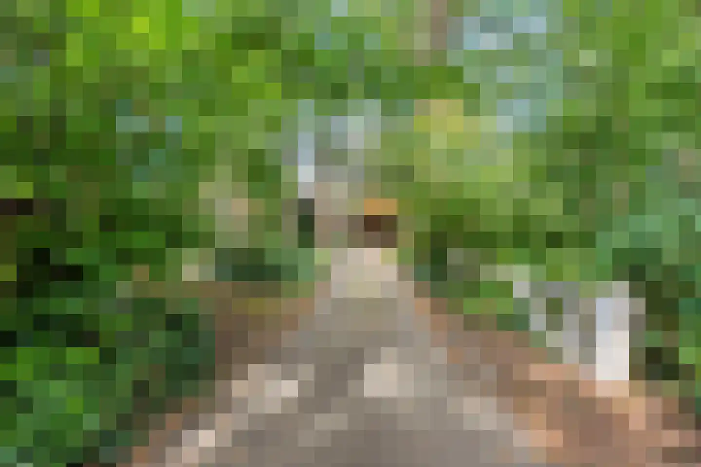 De Zoeke Brink 5 Vasse thumbnail 34