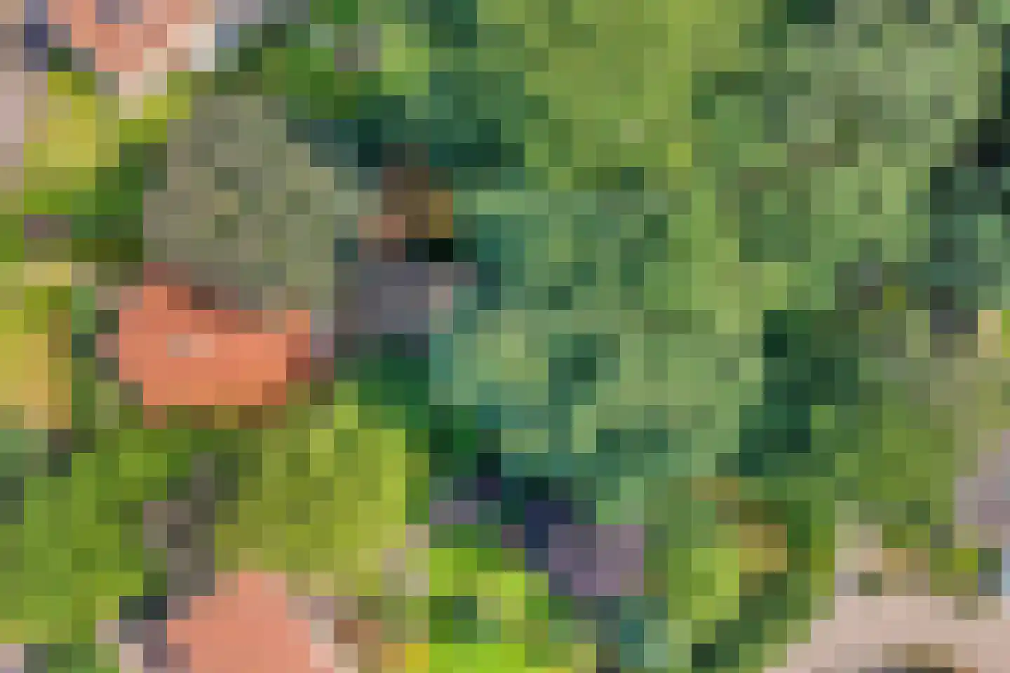 De Zoeke Brink 5 Vasse thumbnail 35