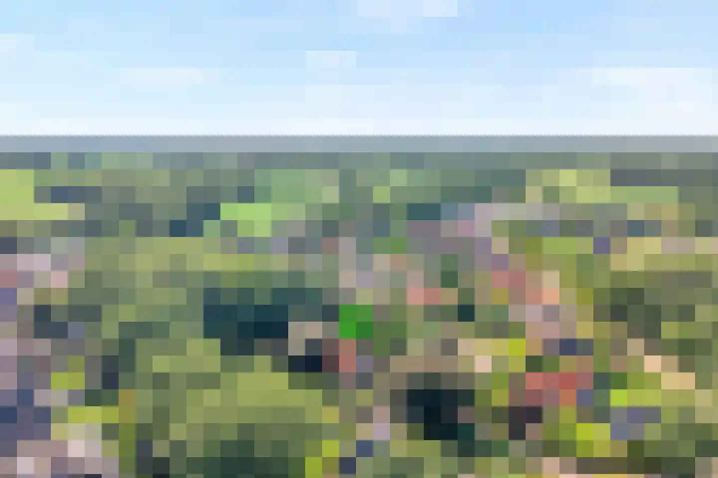 De Zoeke Brink 5 Vasse thumbnail 36