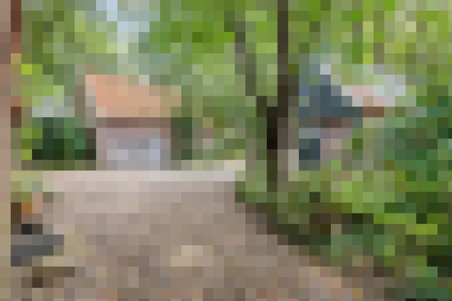 De Zoeke Brink 5 Vasse thumbnail 4