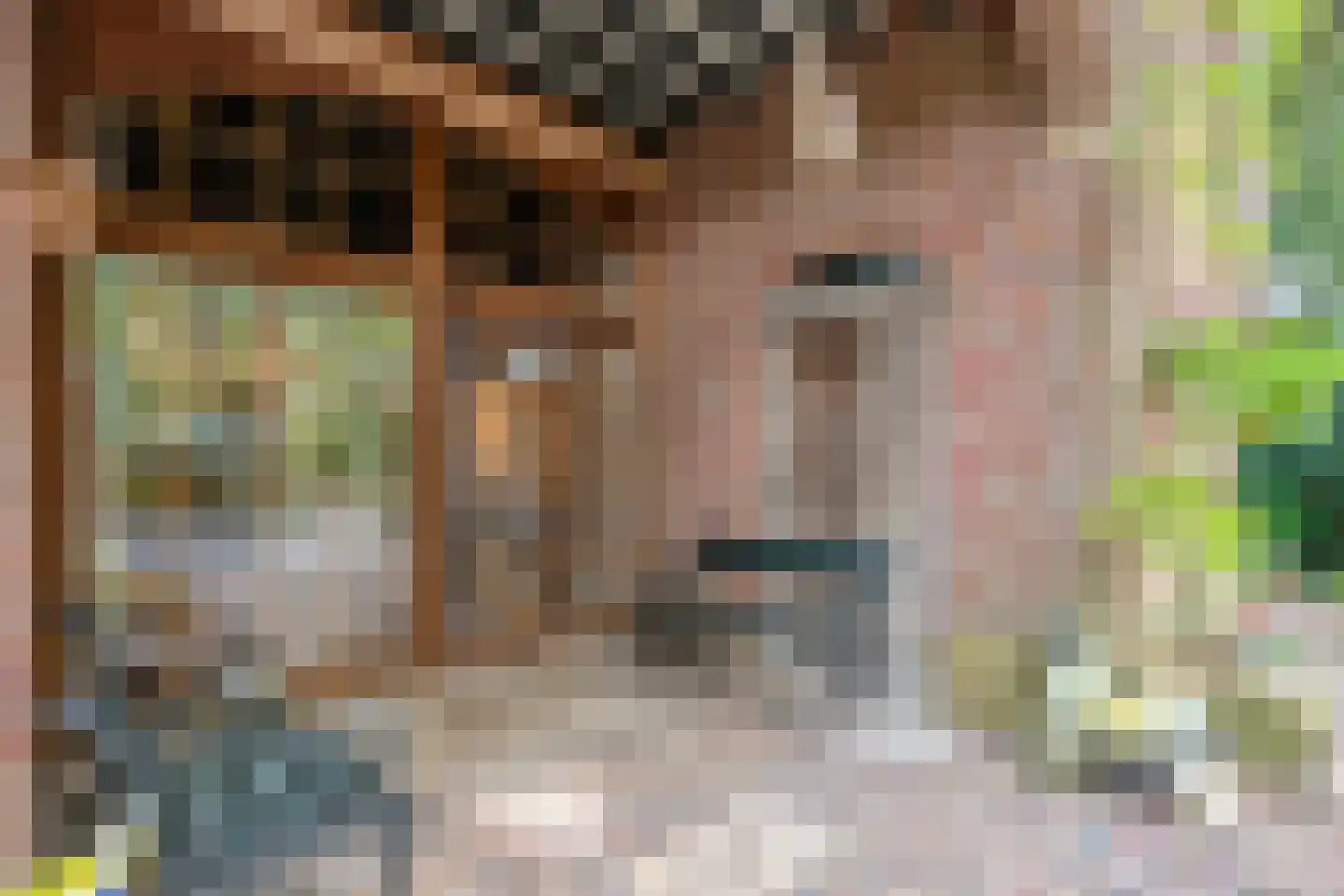 De Zoeke Brink 5 Vasse thumbnail 5