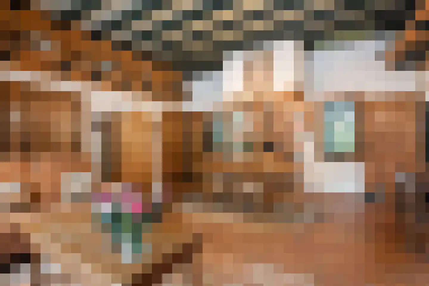 De Zoeke Brink 5 Vasse thumbnail 8