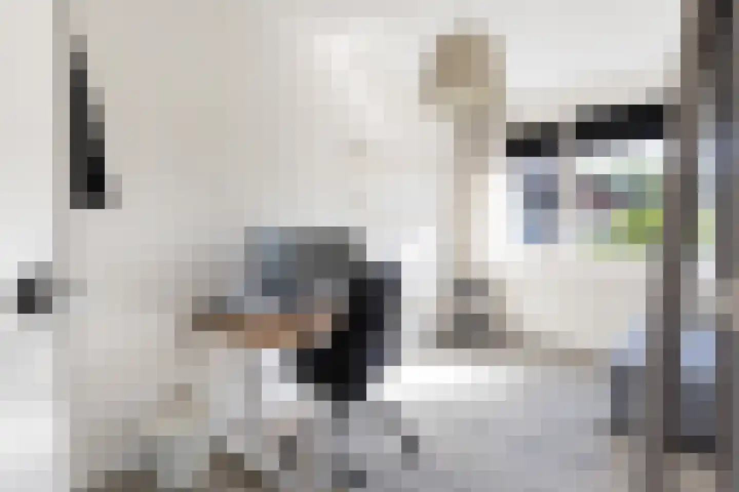 De Zomereik 23 Apeldoorn thumbnail 22