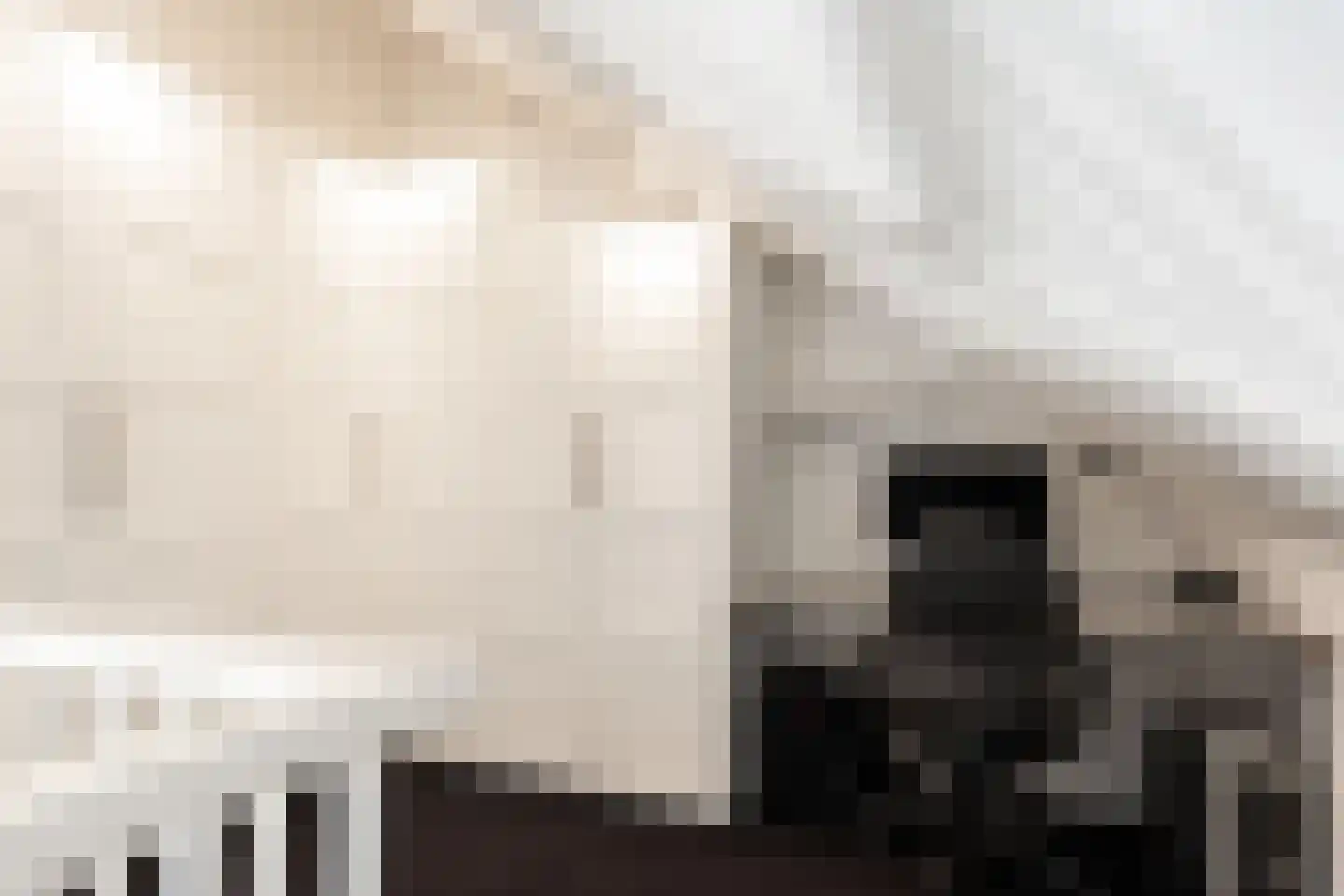 De Zomereik 23 Apeldoorn thumbnail 25