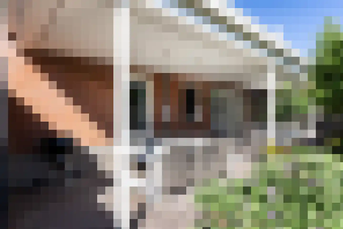 De Zomereik 23 Apeldoorn thumbnail 31