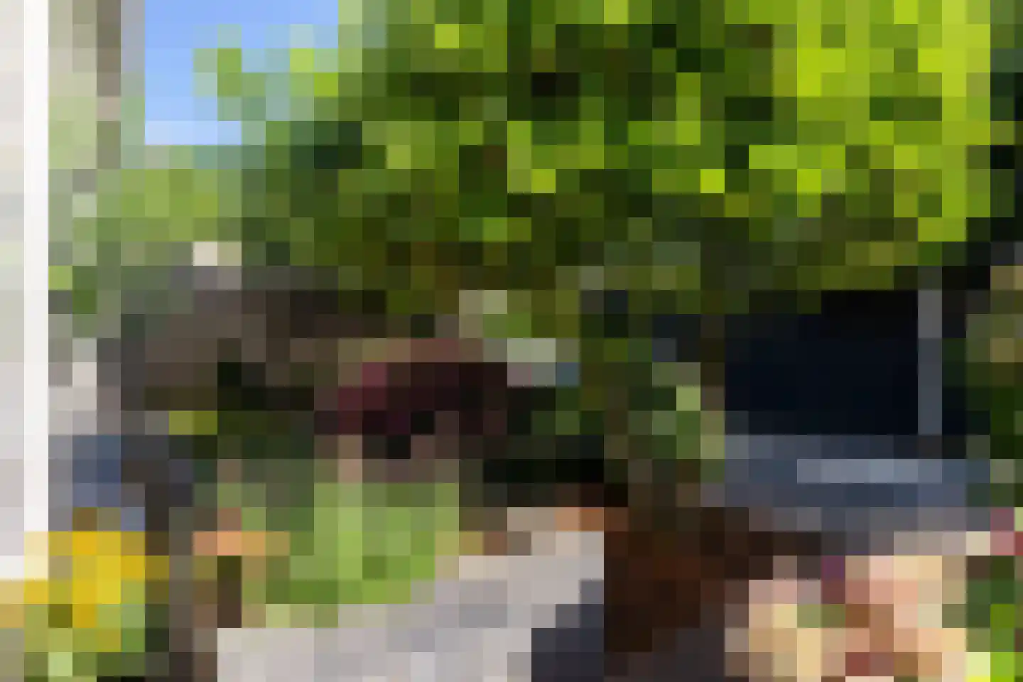 De Zomereik 23 Apeldoorn thumbnail 33